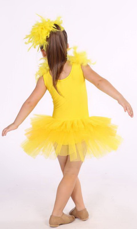 Yellow and Golden yellow with silver sequins and yellow feathers