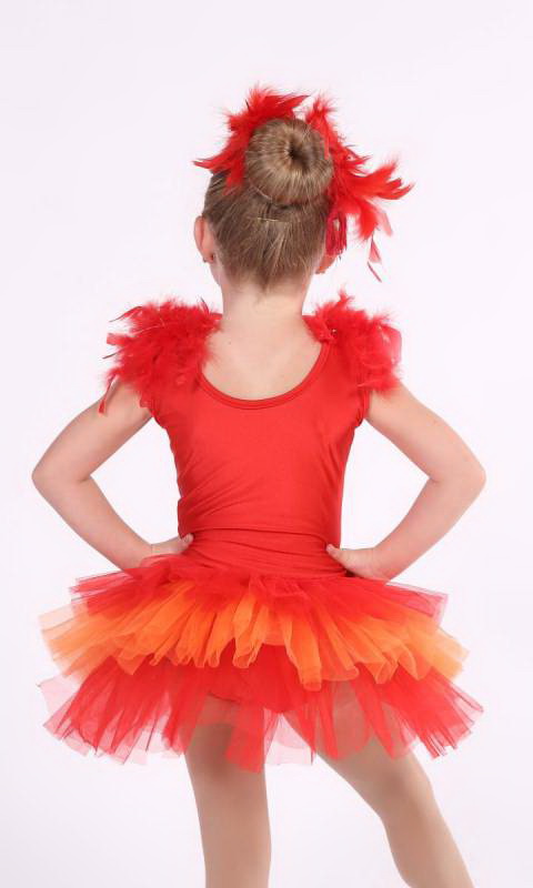 Red and Orange with silver sequings and red feathers