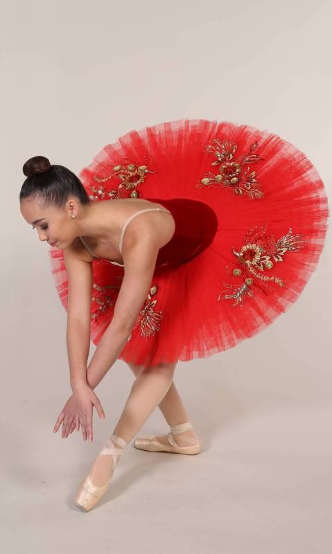 RAMONA - PANCAKE TUTU  - RED VELVET and tulle with gold applique 