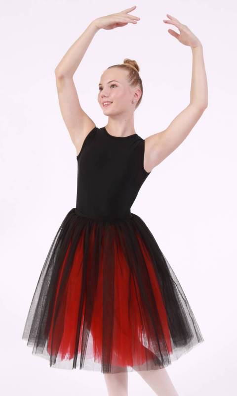Romantic tutu skirt  Dance Costume