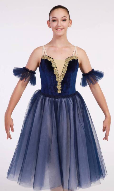 Navy Blue Velvet and Gold metallic 357