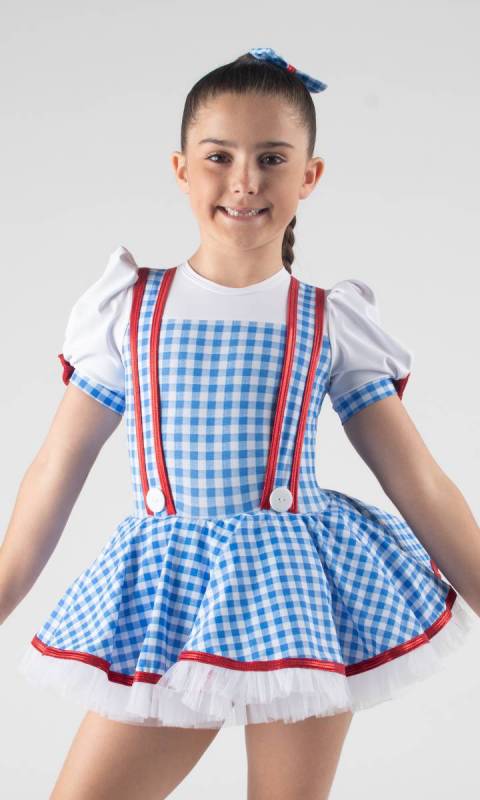 Blue and white gingham + White+ Red 596