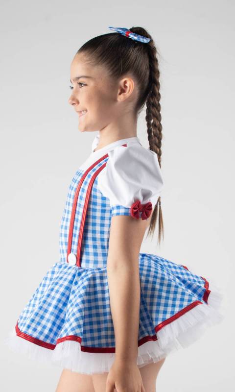 Blue and white gingham + White+ Red 596