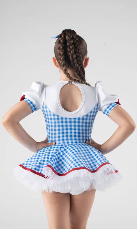 Blue and white gingham + White+ Red 596