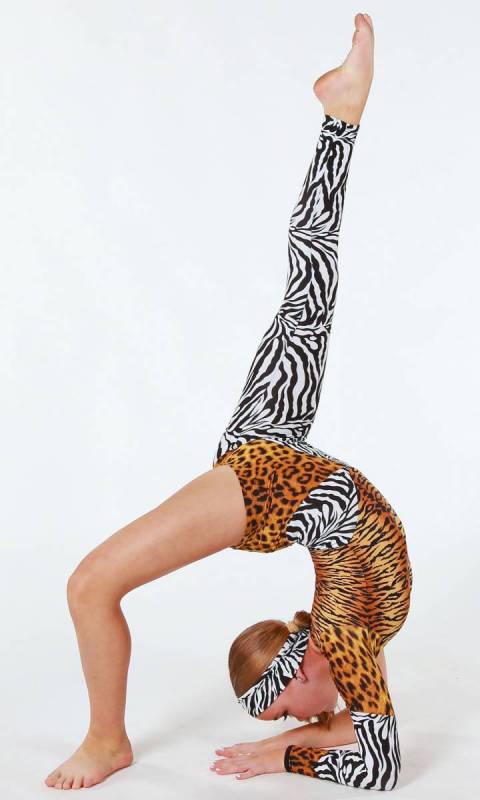 Masala - Zebra Tiger and Leopard print spandex 