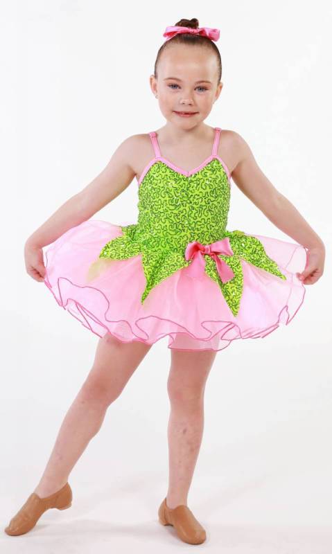 Garden Fairy  + Hair Bow Dance Costume