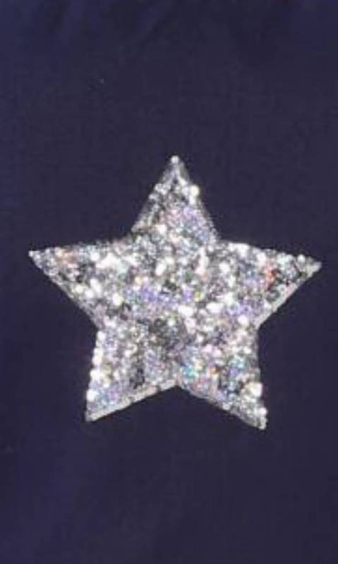 LARGE SILVER SEQUIN STAR  Dance Costume